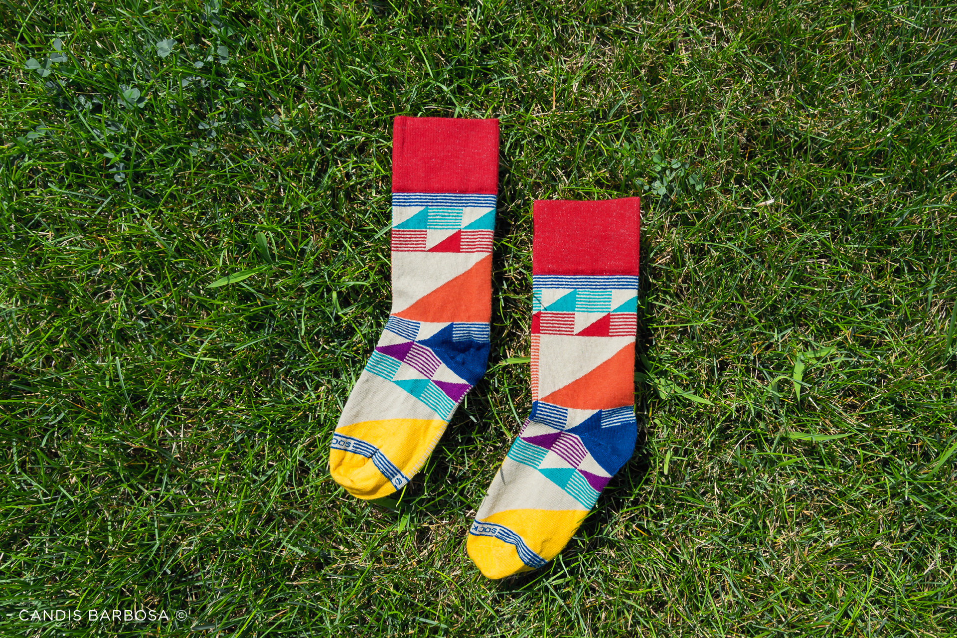 Sock Club Socks