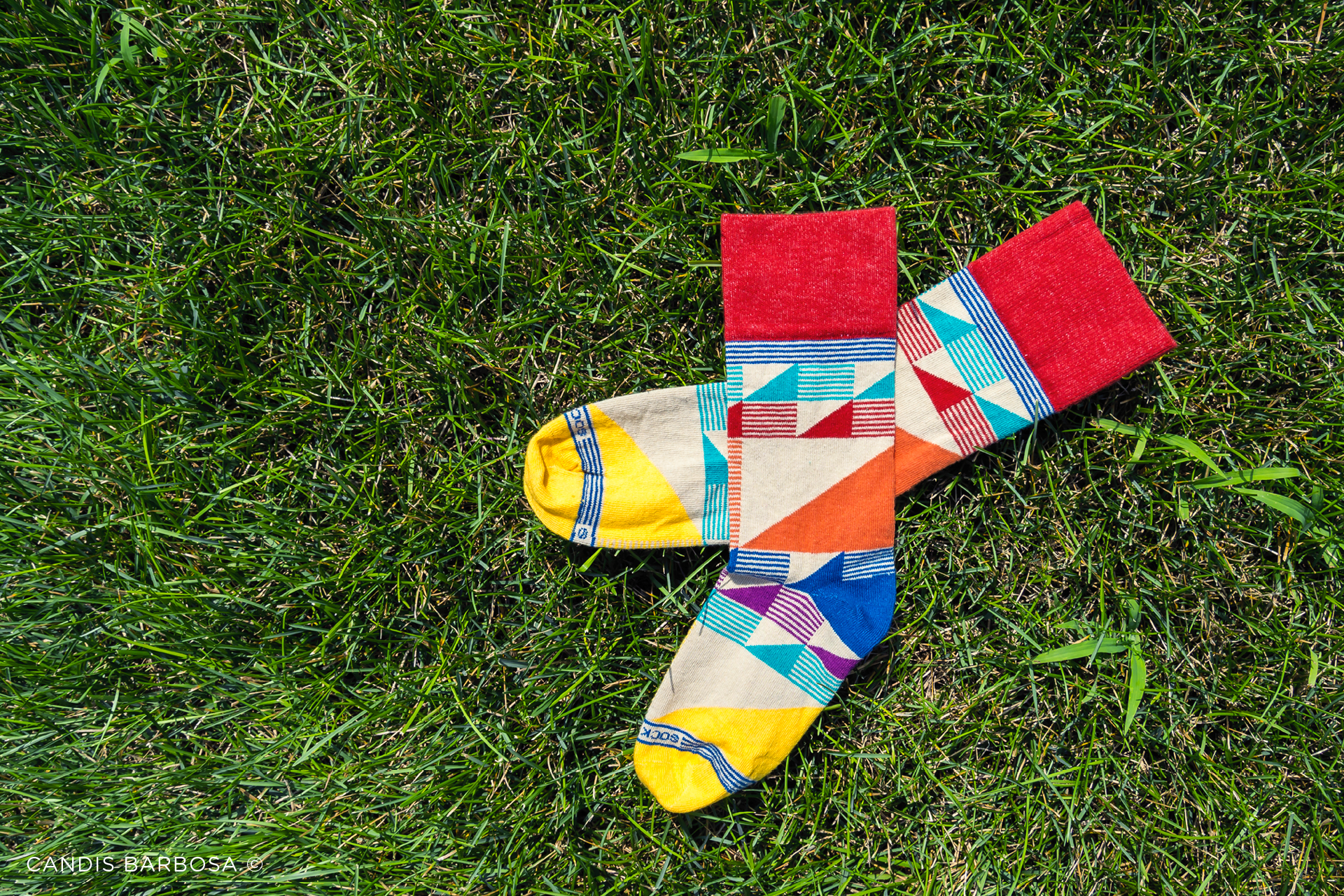 Sock Club Socks